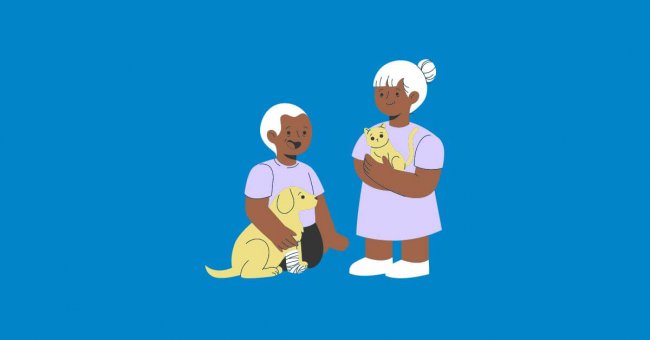 Diversificar fondos en ONG de bienestar animal